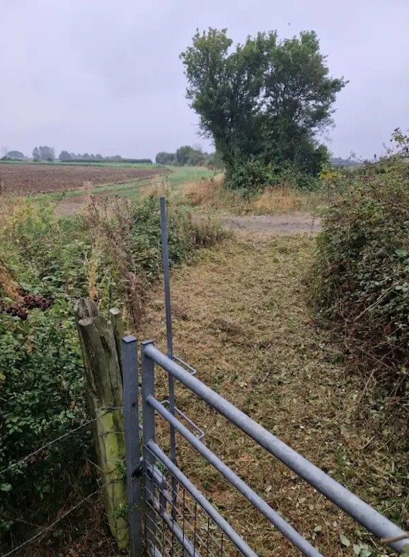 DIY & Gardening Services Bedfordshire