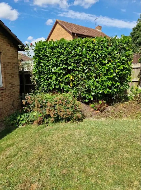 Plumbing in Bedfordshire