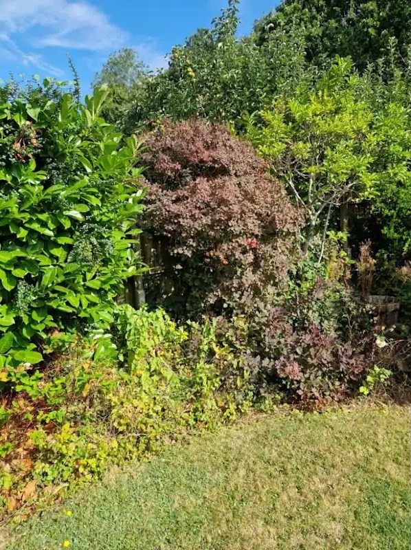Gardening in Bedfordshire